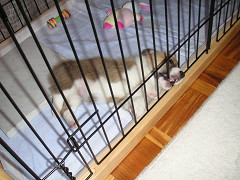 Resize of M2005080906_thumb.jpg